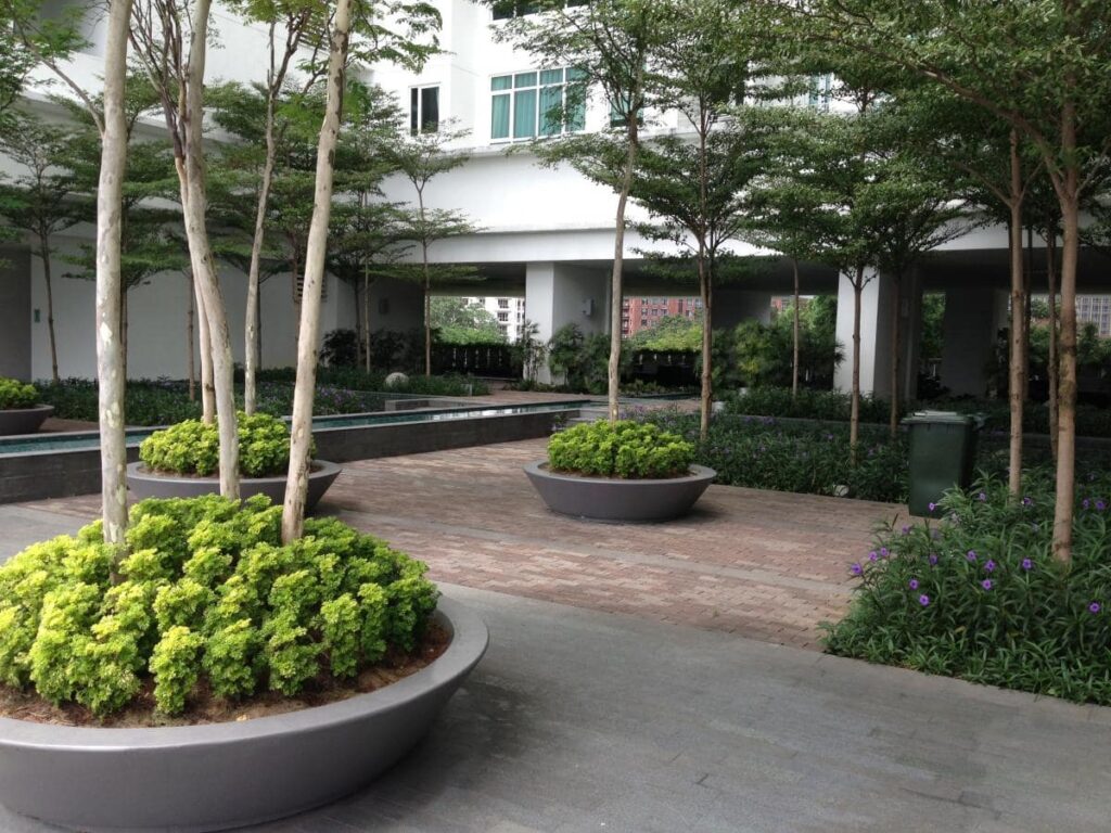 Radmyx projekti - The Pearl