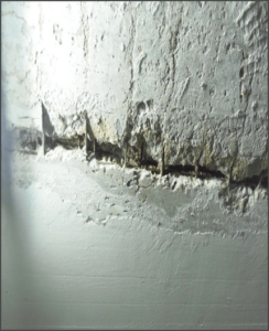 Radmyx projekti - Tehnika