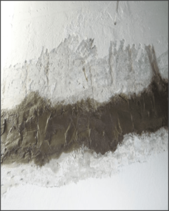 Radmyx projekti - Tehnika