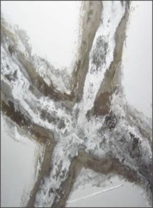 Radmyx projekti - Tehnika